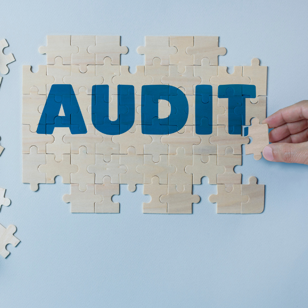 12 Steps to a Successful Technical SEO Audit (A Guide)!